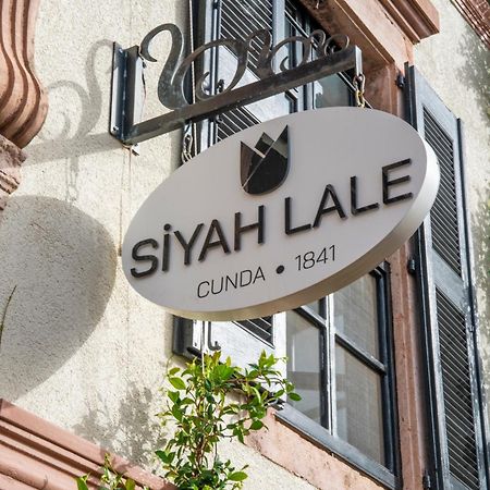 Siyah Lale Cunda 1841 (Adults Only) Hotel Ayvalı Kültér fotó
