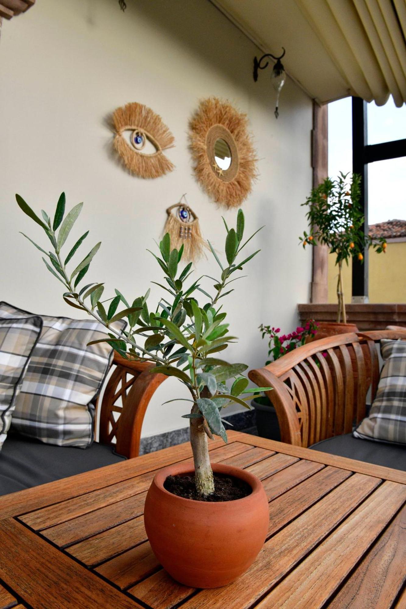 Siyah Lale Cunda 1841 (Adults Only) Hotel Ayvalı Kültér fotó
