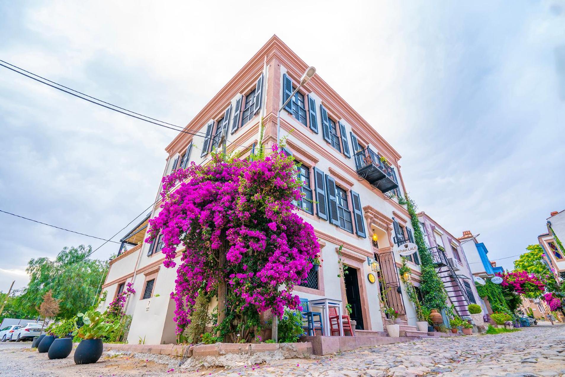 Siyah Lale Cunda 1841 (Adults Only) Hotel Ayvalı Kültér fotó