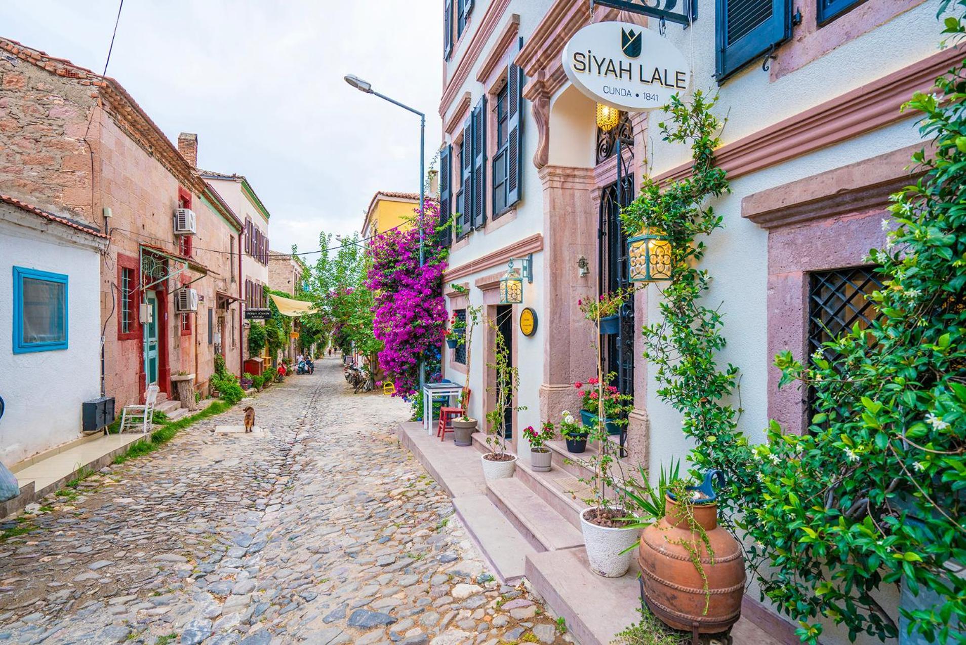 Siyah Lale Cunda 1841 (Adults Only) Hotel Ayvalı Kültér fotó