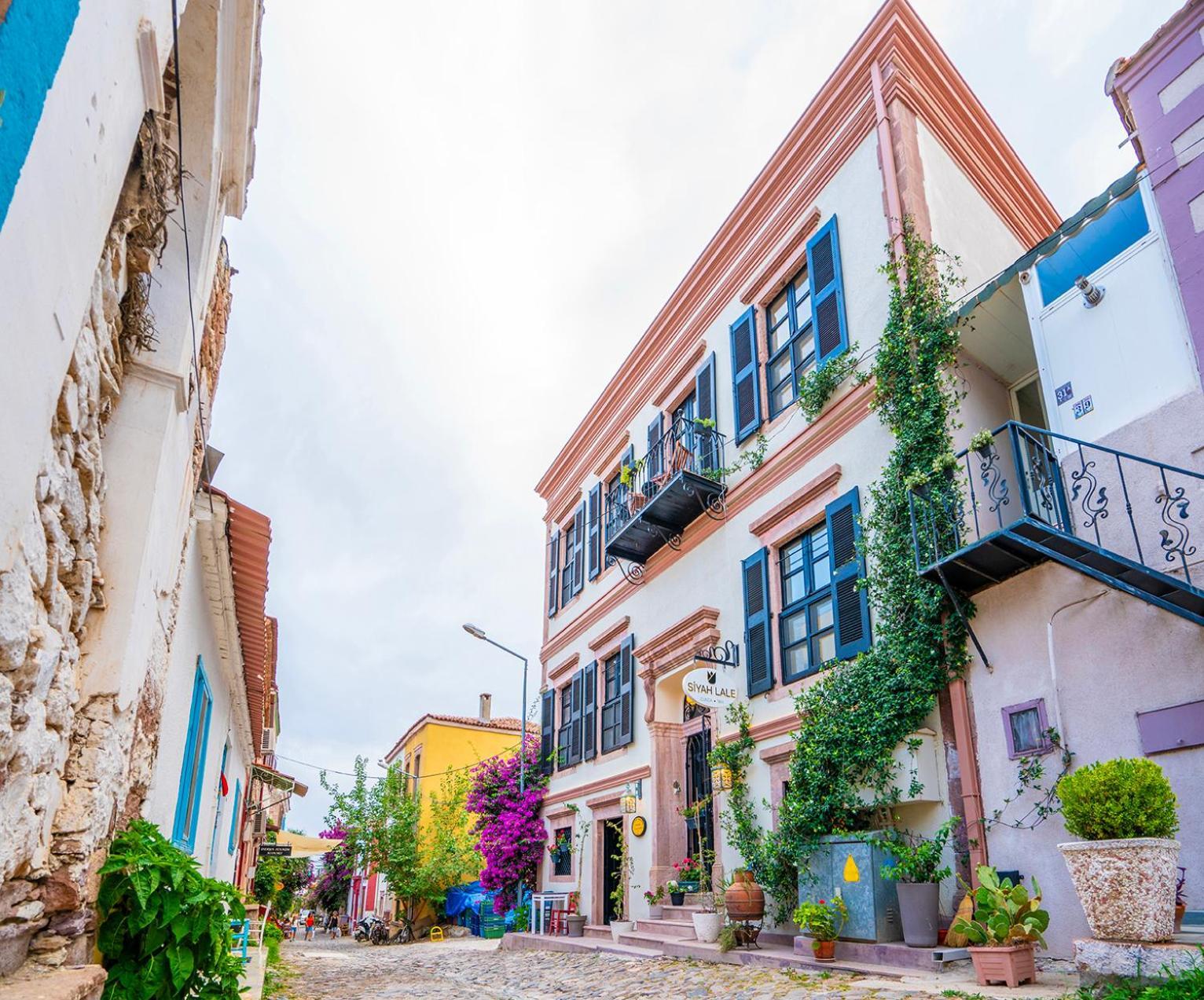 Siyah Lale Cunda 1841 (Adults Only) Hotel Ayvalı Kültér fotó
