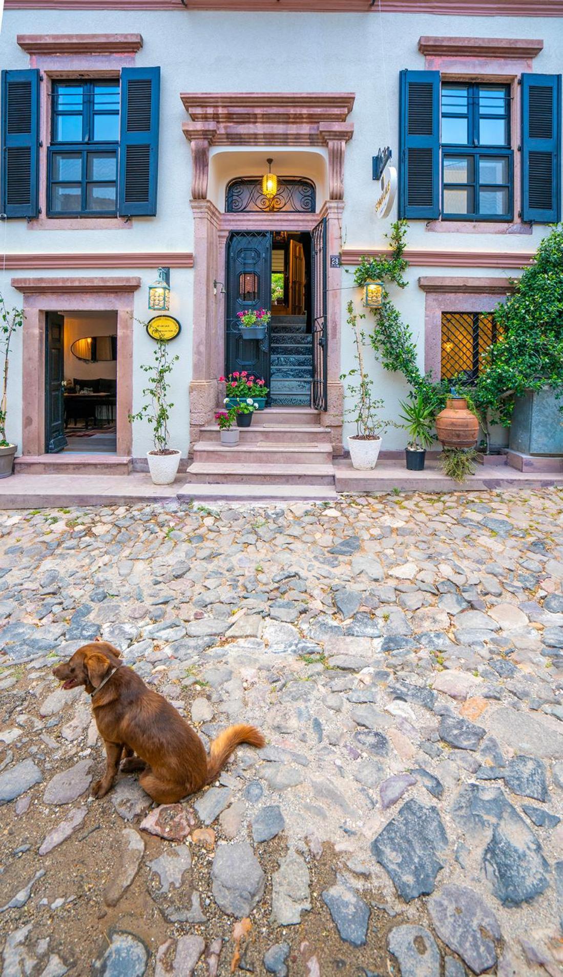 Siyah Lale Cunda 1841 (Adults Only) Hotel Ayvalı Kültér fotó